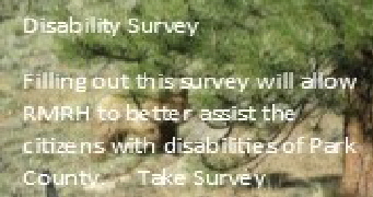 Disabily Survey5